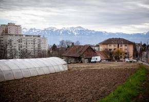 La disparition de la dernière exploitation agricole urbaine de Lausanne pourrait être remise en question. MISSON