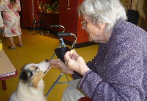  Aide Seniors Animaux ouvre une antenne 