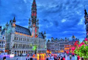  La Grand-Place de Bruxelles, une merveille architecturale.