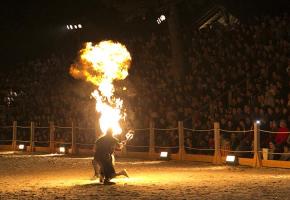  Le festival Equi-no'X sera l'occasion d'admirer des professionnels des arts du feu en pleine action.