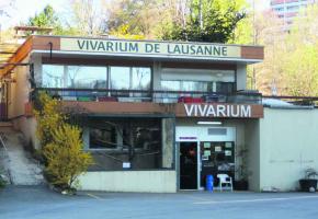 Le Vivarium a besoin de 250'000 francs d'ici la fin du mois faute de quoi il pourrait fermer définitivement ses portes. 