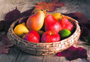 Quelques précautions sont nécessaires pour bien conserver les fruits d'automne. 