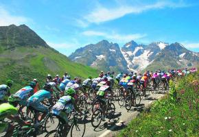 Fidèle au poste, le tour de France remplit l'été sportif. 