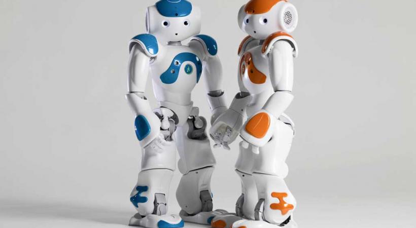 Considérés comme des héros au Japon, les robots humanoïdes vont bientôt débarquer en Europe. DR