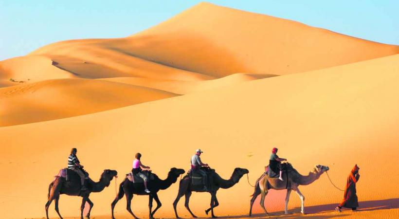 Les grandes dunes de sable, comme celles de Chegaga et Merzouga, offrent des couleurs d’exception.