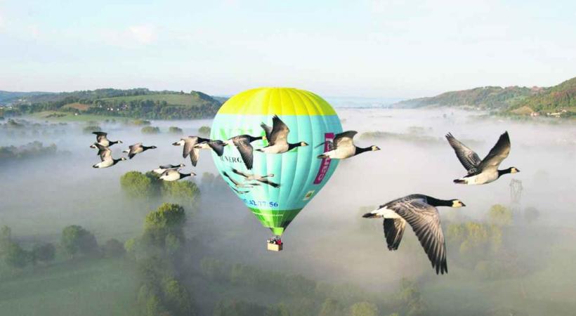 Un vol en montgolfière au milieu des oies sauvages: une expérience magique pour découvrir l'Auvergne. 