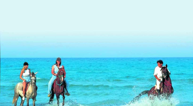 Tunisie - Balade équestre au bord de la plage. 