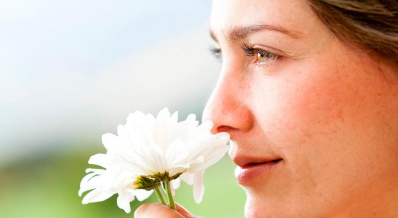 L’altération de l’odorat peut aussi être un signal précoce d’apparition de certaines maladies neuro-dégénératives. DR
