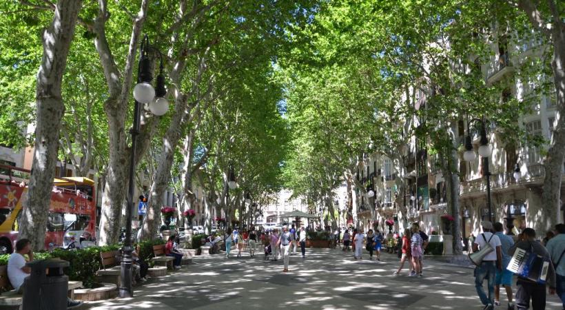 Passeig del Born, promenade ombragée de Palma.