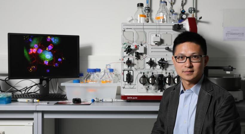 Li Tang, directeur du Laboratoire de biomatériaux pour Immunoengineering (LBI) de l’EPFL et  premier auteur de l’étude. DR