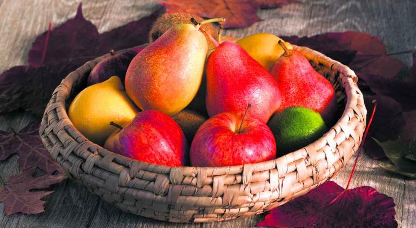 Quelques précautions sont nécessaires pour bien conserver les fruits d'automne. 