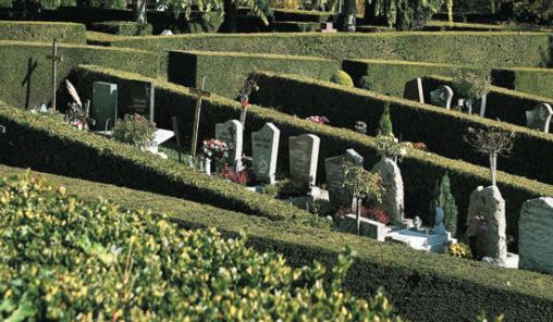 cimetière bois-de-vaux